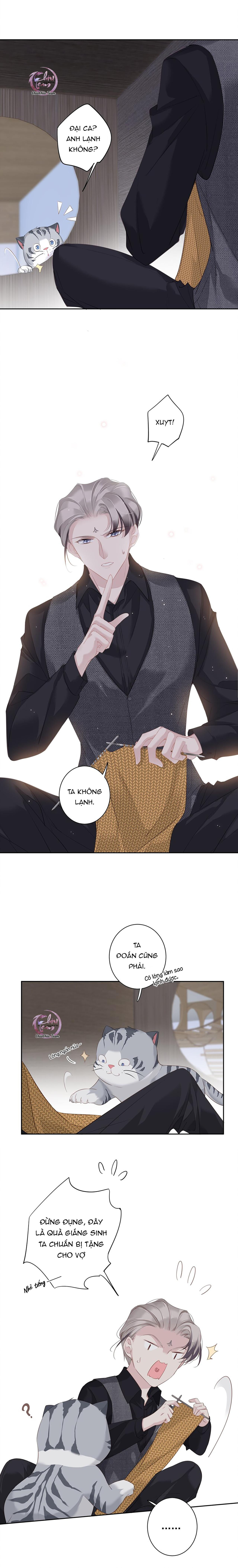 cuộc mai mối vượt giống loài chapter 38 5