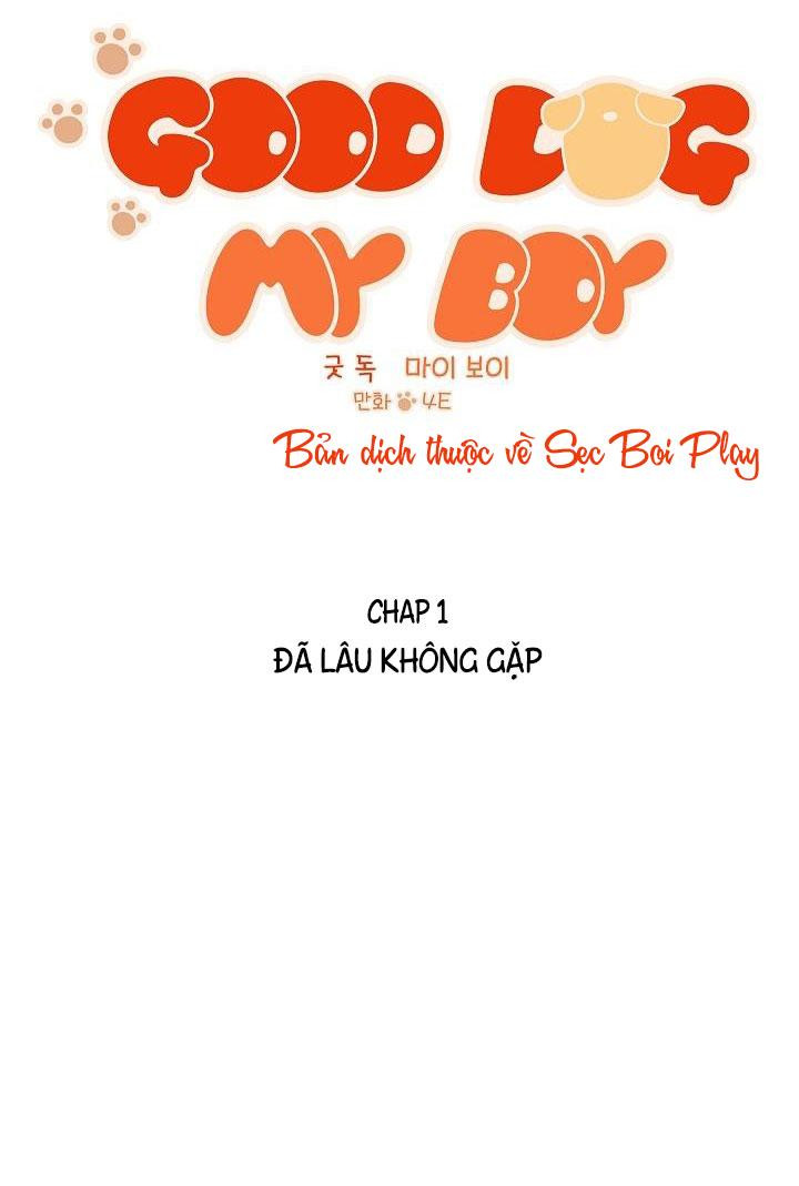 good dog , my boy chapter 1 4