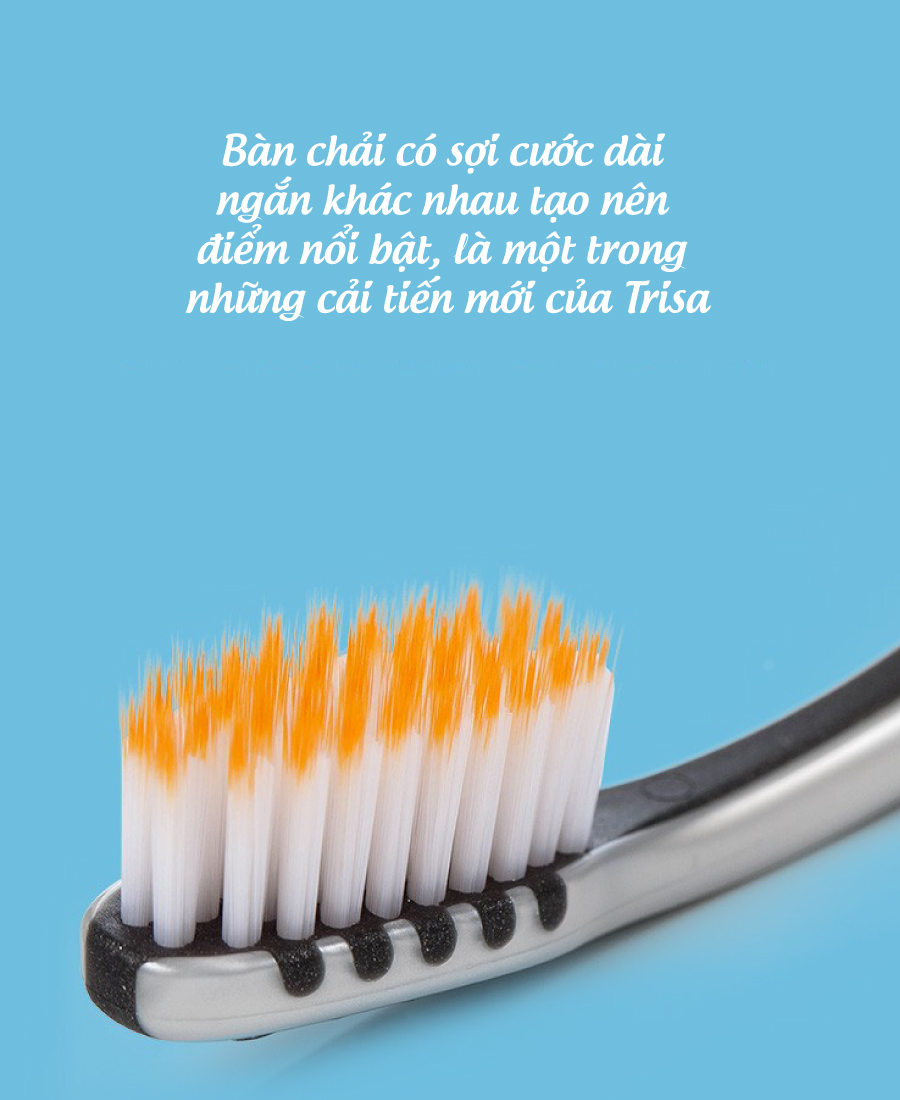 Bàn Chải Đánh Răng Trisa Pro Interdental