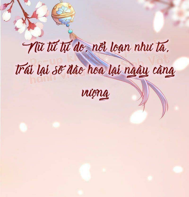 quận chúa vững vàng, thiết lập nhân vật không thể vỡ chapter 0 33