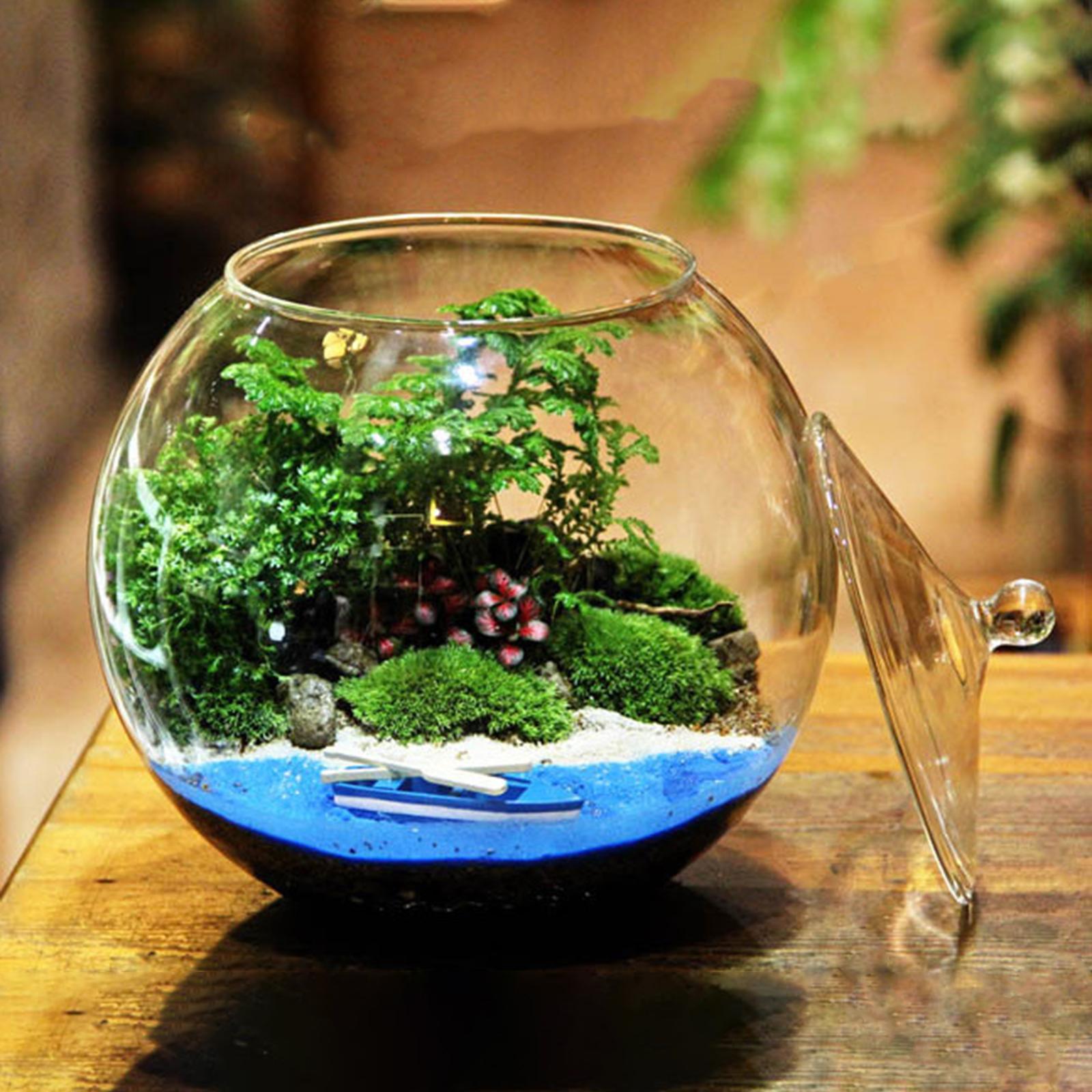 Glass Terrarium, Glass Plant Container, Sealed Storage Jar, Centerpiece Planter Jar Micro Landscape Bottle for Candy Coffee kitchen Nuts