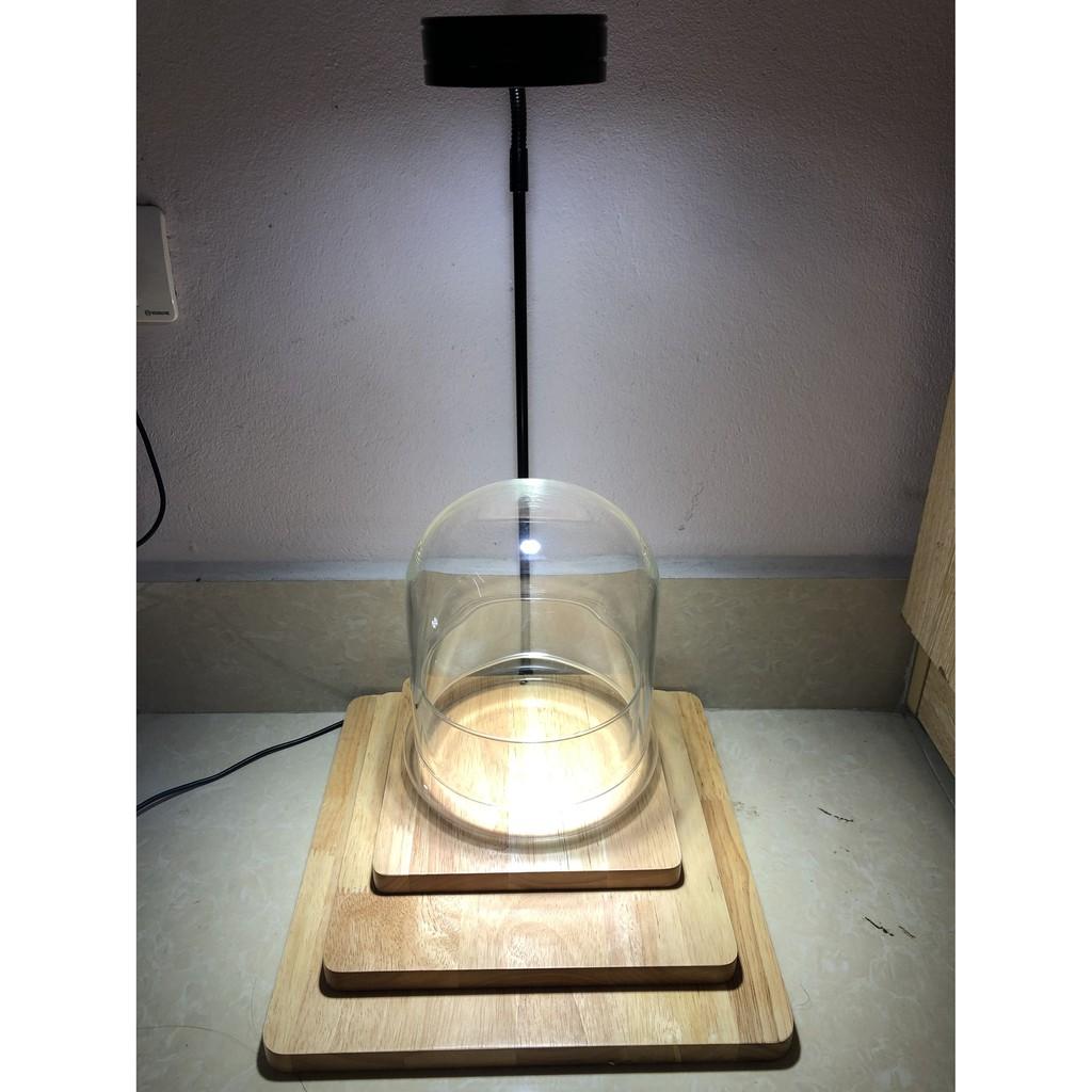 Đèn đế gỗ nhiều công suất dùng cho bể Terrarium, bán cạn, thủy sinh nhiệt độ màu 6000-6500K