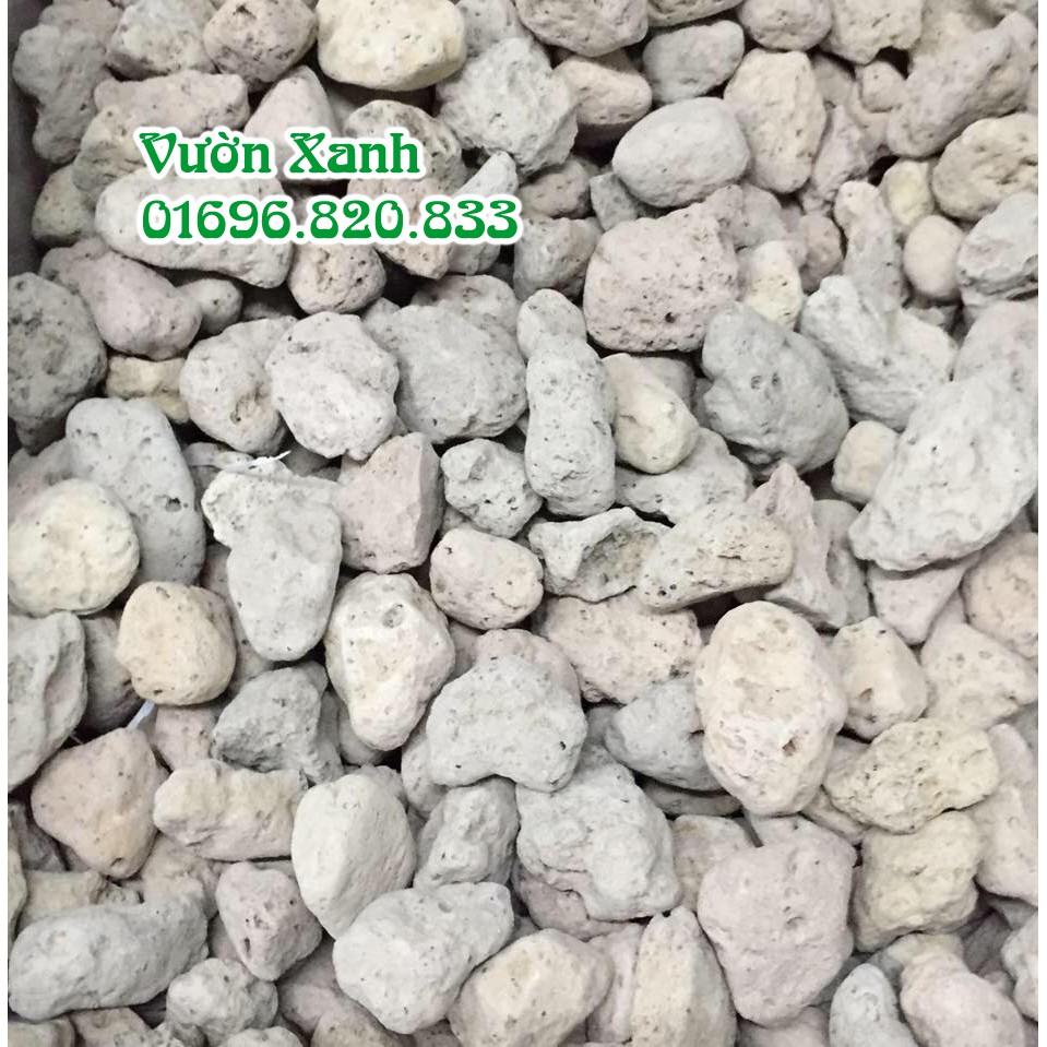 Đá bọt nhẹ, thoáng, giữ ẩm rất tốt cho lan size 1-2 cm