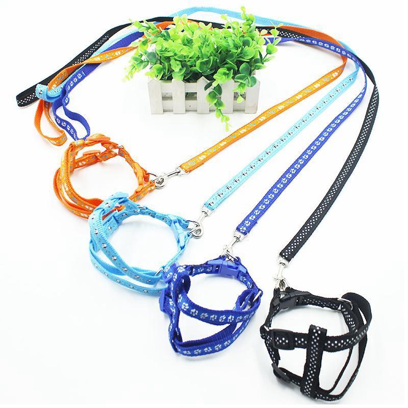 Dây dắt và đai yếm ngựa cho chó mèo Ngáo Và Gâu Đần độ rộng dây cỡ 1.5cm nhiều màu sắc