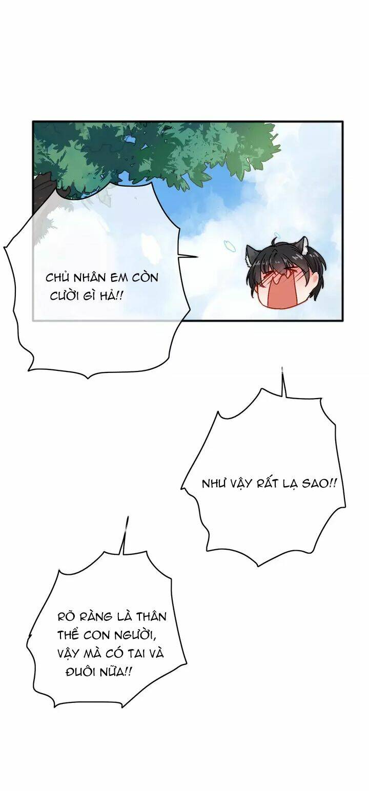 thập quang mật ngữ chapter 11.5 8