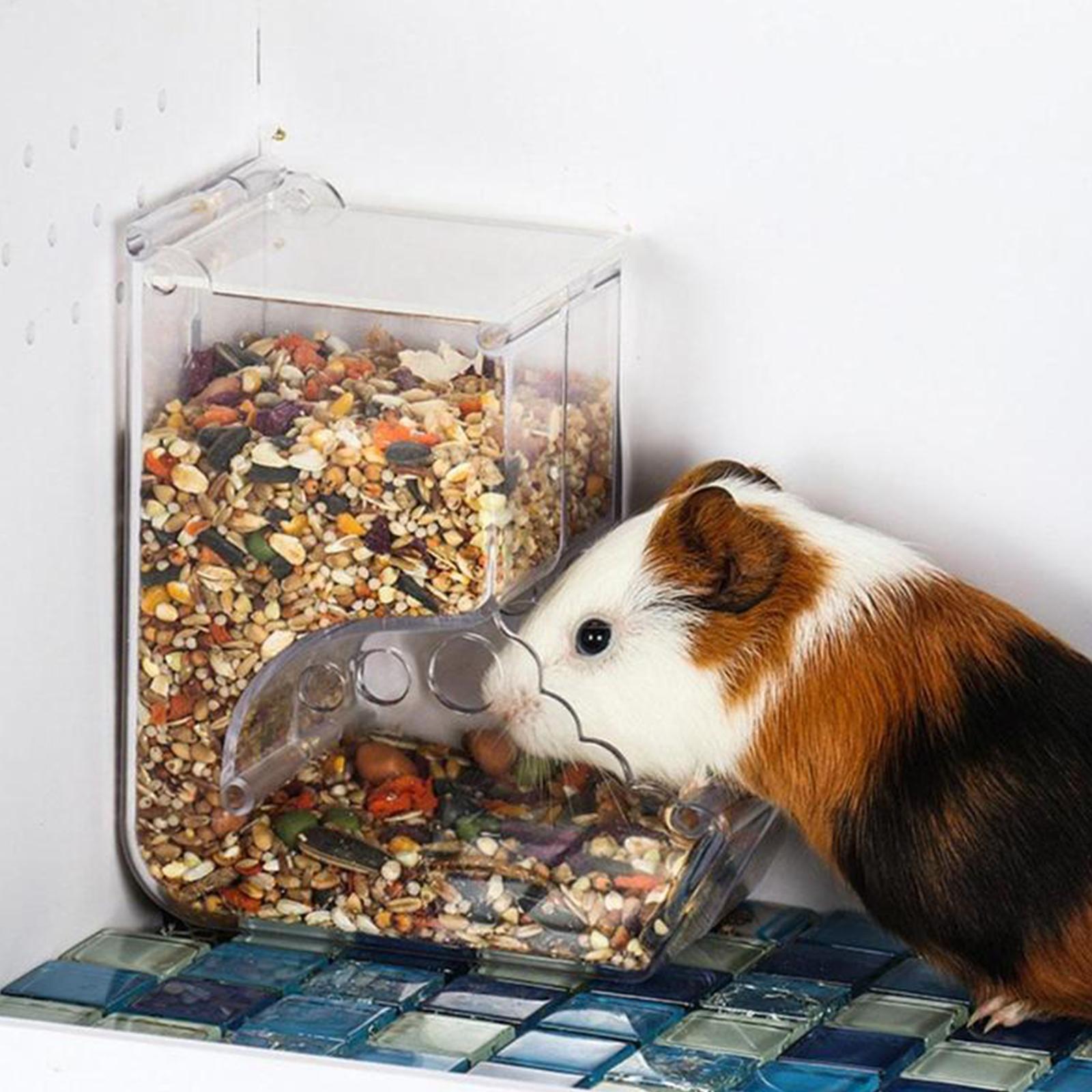Automatic Pet Feeder, Bird Hamster Small Animal Feeder, Automatic Feeding Device Water Dispenser for Hamster Bird Pigeon Parrots Mini Hedgehog