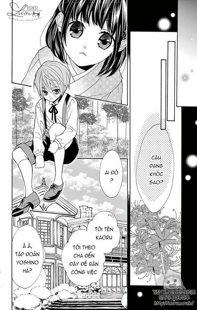 teito hatsukoi shinjuu chapter 0 51