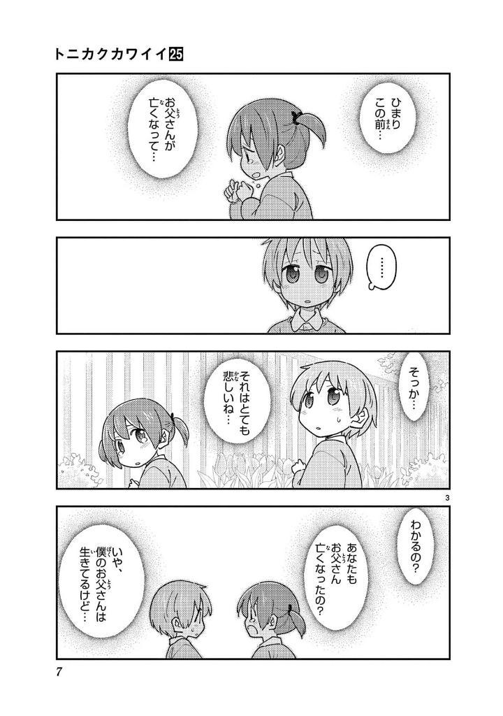 Tonikaku Kawaii - Fly Me To The Moon 25 (Japanese Edition)