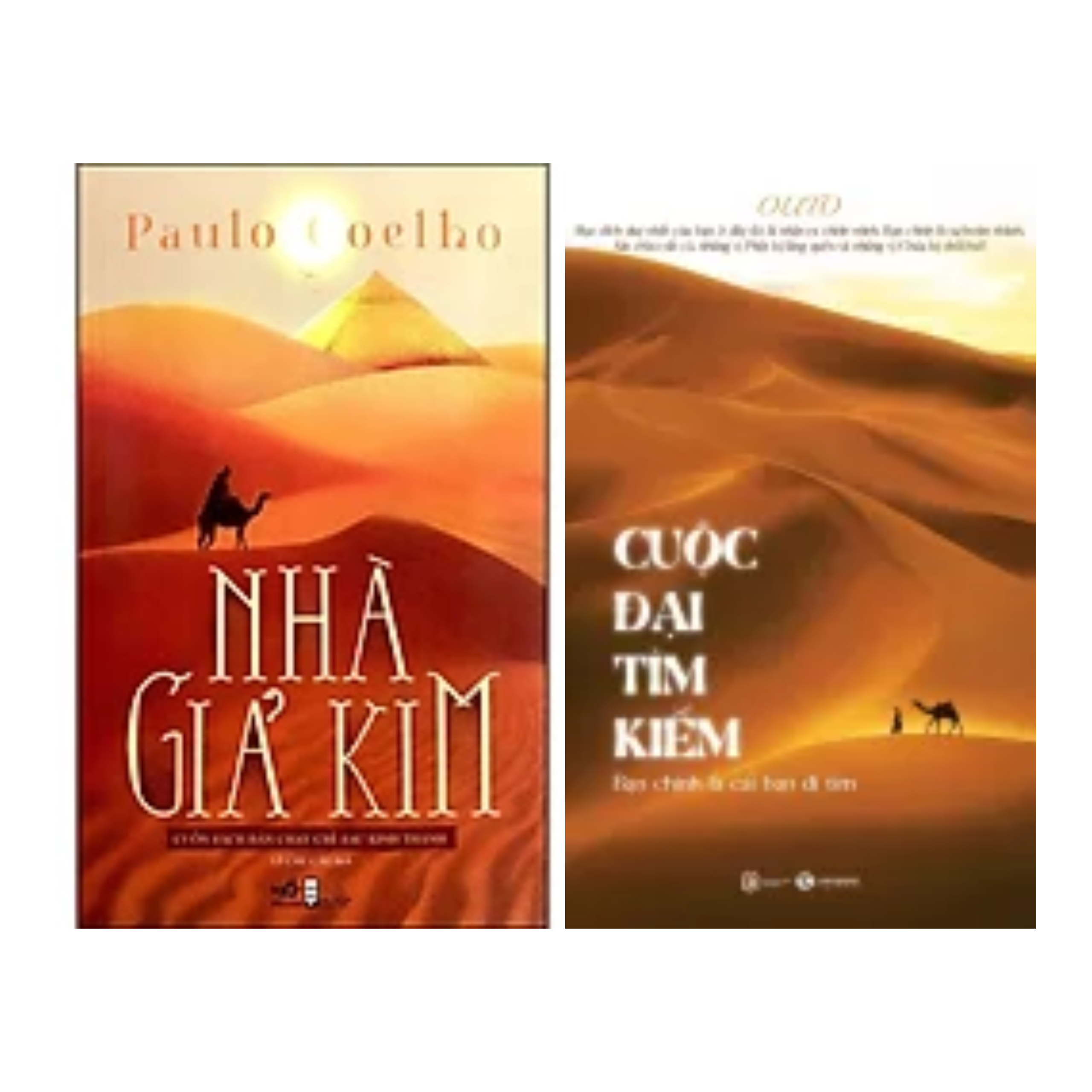 Combo 2Q Sách Tôn Giáo - Tâm Linh : Nhà giả Kim ( Bìa Vàng ) + Cuộc Đại Tìm Kiếm - Bạn Chính Là Cái Bạn Đi Tìm