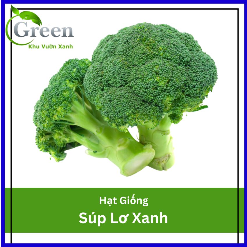 Hạt Giống Bông Cải Xanh