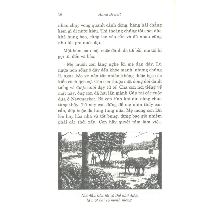 Ngựa Ô Yêu Dấu (Tái Bản)