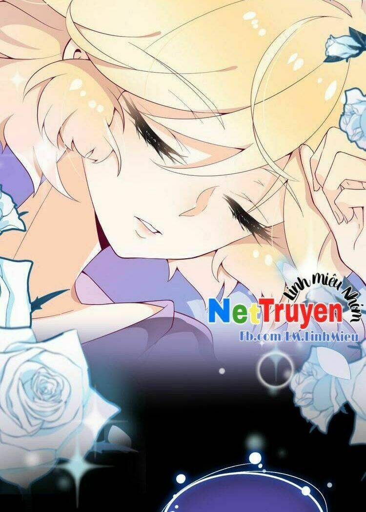 thuần bạch vận mệnh chi luân chapter 1 5