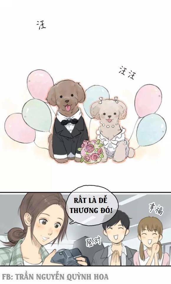 12 giờ của lọ lem chapter 16 4