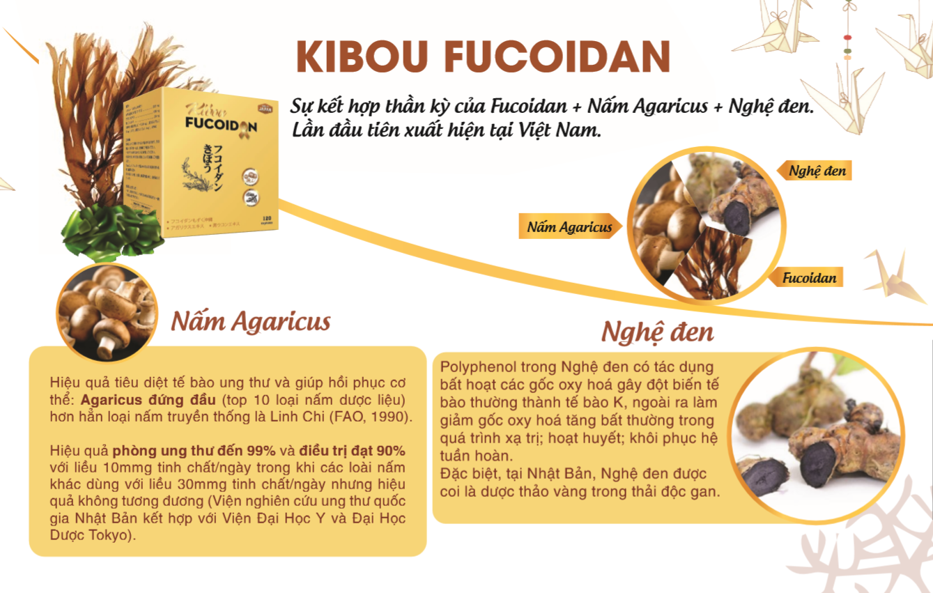 Viên uống Kibou Fucoidan Hộp 120 viên - Fucoidan Nhật Bản tăng cường miễn dịch