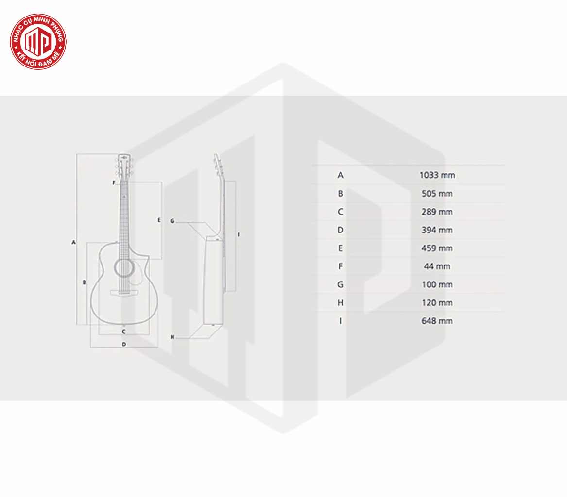 Đàn Guitar Acoustic Hex D450CE - Hàng chính hãng