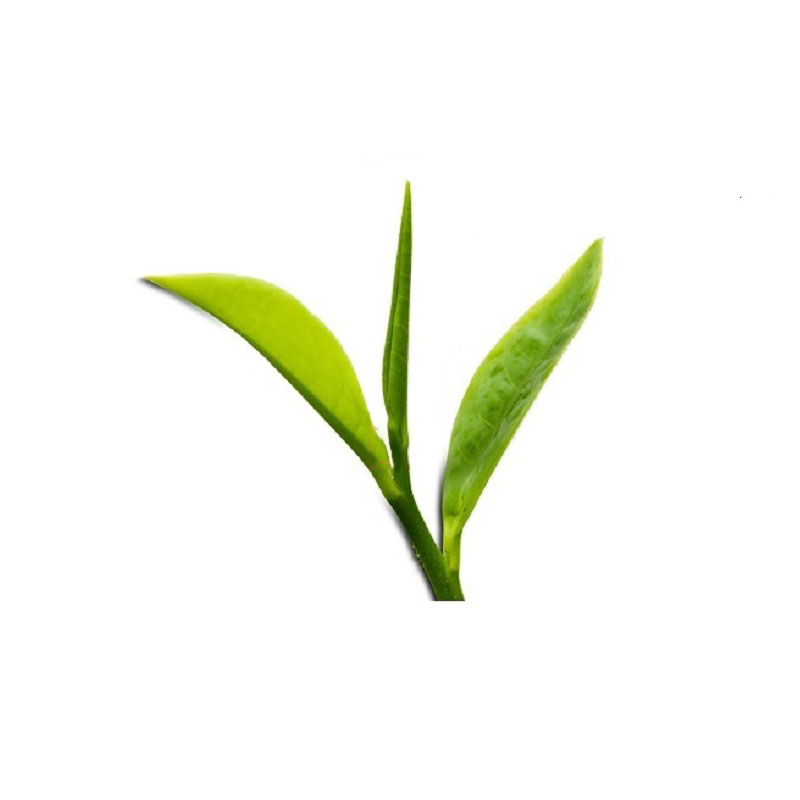 Combo 02 hộp trà xanh tân cương thái nguyên - Trà đinh tứ quý 100 gram