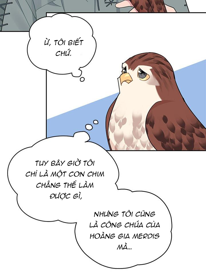 công chúa của loài chim chapter 28 25