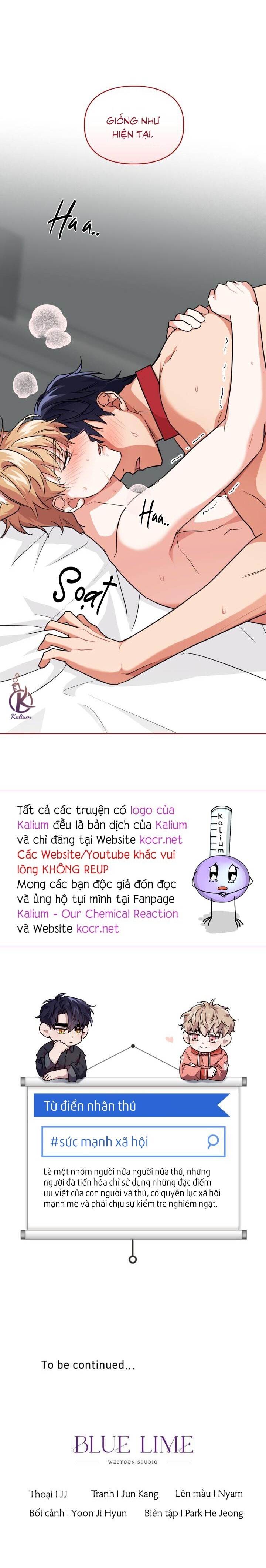 Mồi nhử chapter 41