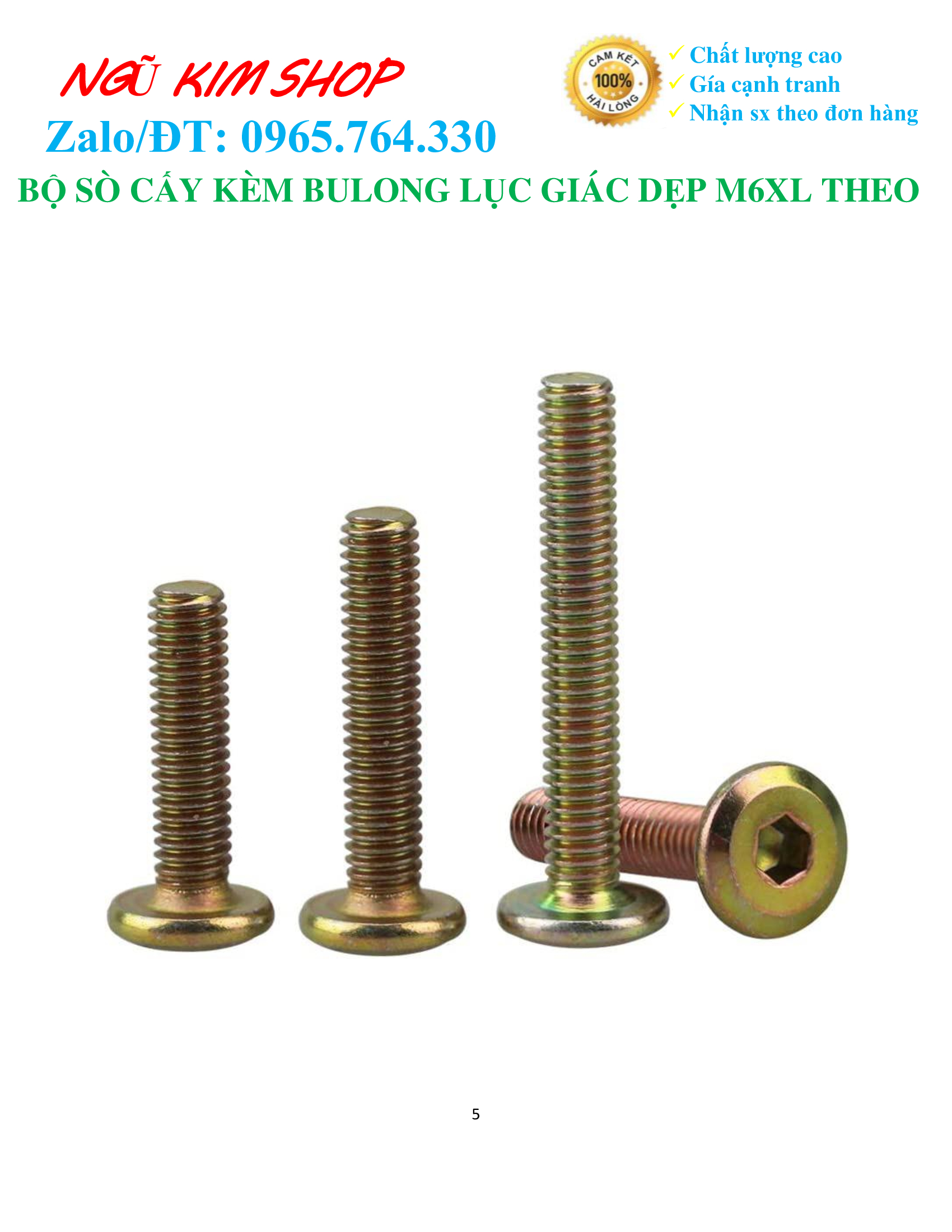 BỘ SÒ CẤY KÈM BULONG LỤC GIÁC DẸP M6 x L