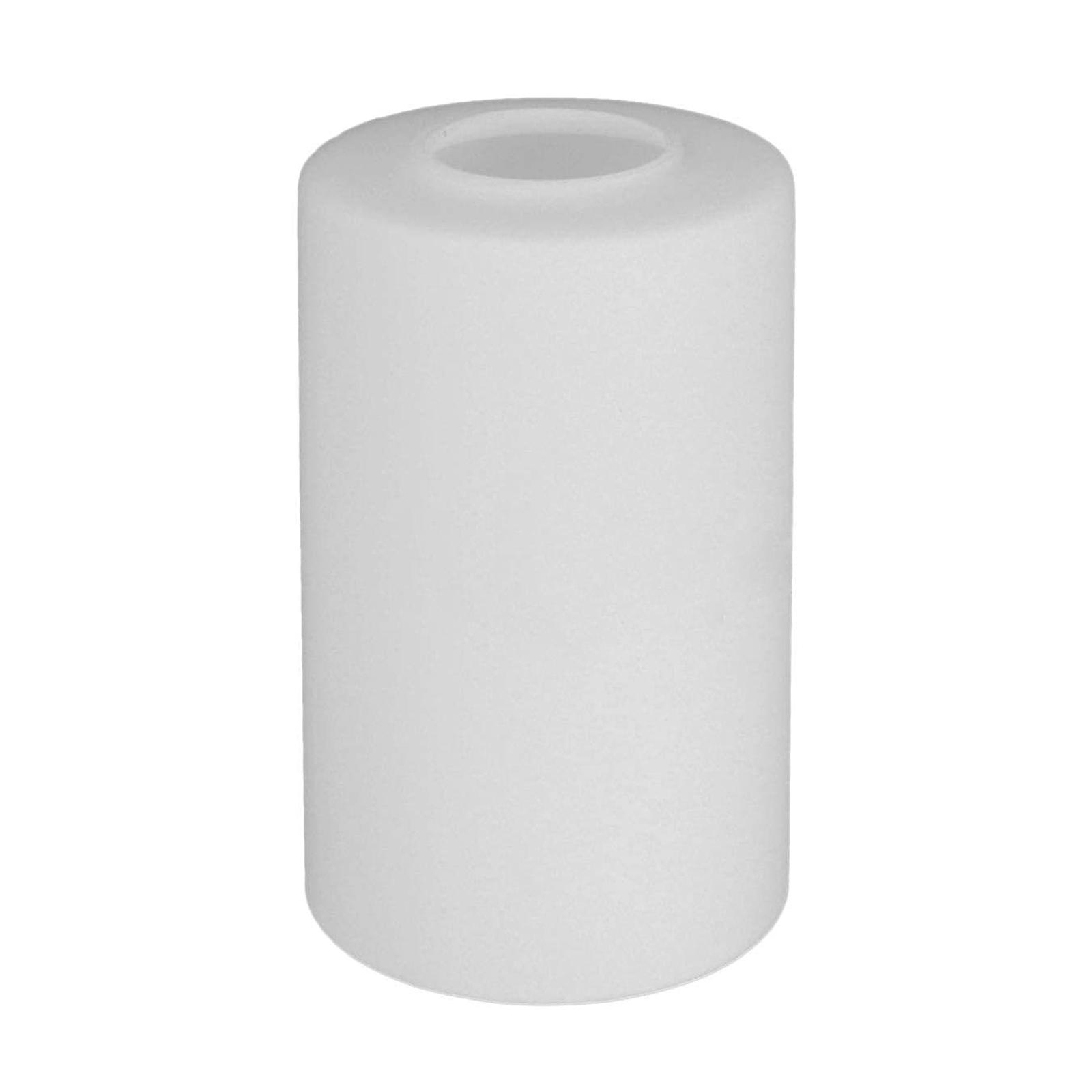 Ceiling Fan Glass Shade, Replacements Light Fixtures Lampshade 1.65 inch Fitter Decoration Light Covers for Chandelier Vanity Lighting Bar