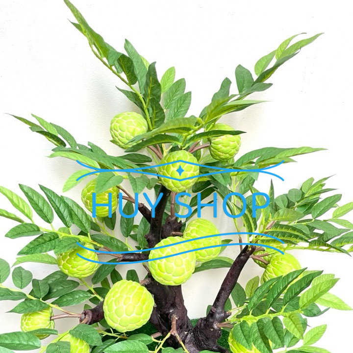 Gốc cây Trái MÃNG CẦU TA nhân tạo trang trí nhà cửa