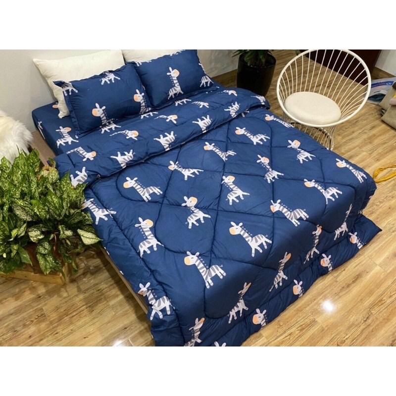 Một Áo Gối Vỏ Gối Mền Mịn Cotton Poly Size 65cm x45cm Chọn Mẫu