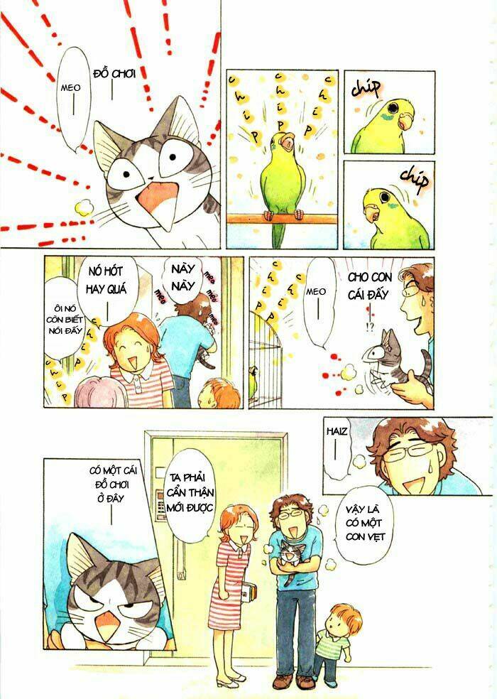 chi's sweet home chapter 63 4