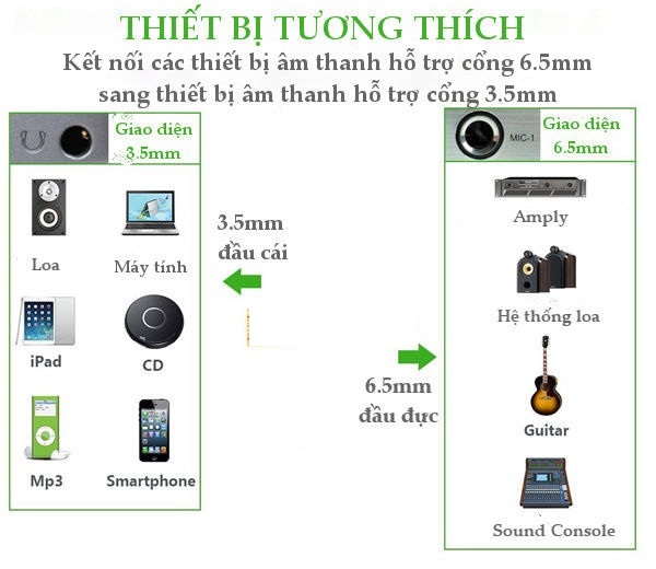 Đầu Chuyển Đổi 6.5mm Sang 3.5 mm