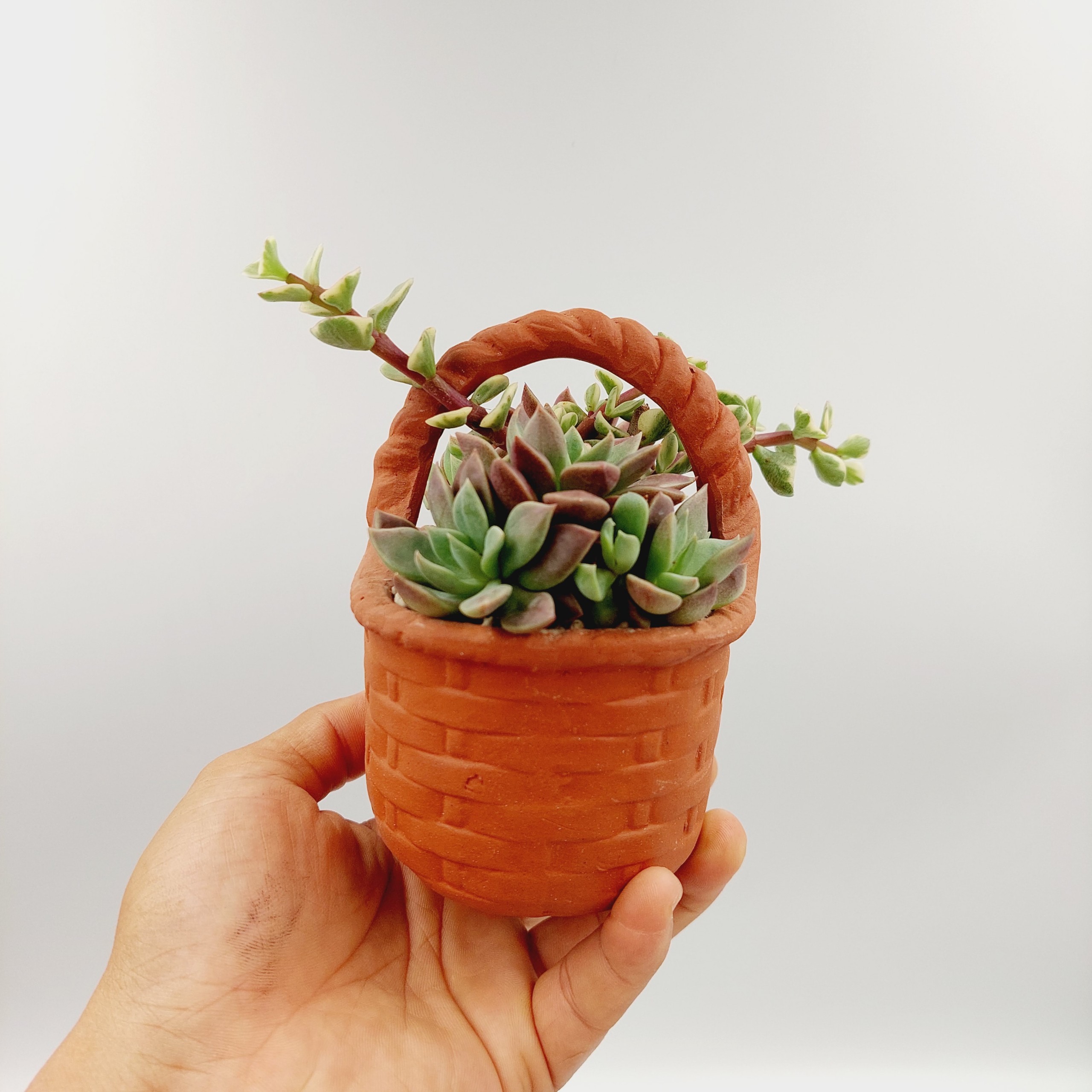 Chậu đất nung, chậu sen đá - Giỏ hoa nhỏ xinh 1212, dài 12cm, rộng 8cm, cao 12cm