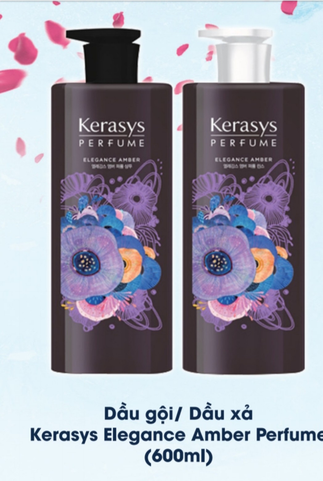 Dầu gội nước hoa hương Violet tím và hoa diên vỹ Kerasys Elegance Amber Hàn Quốc 600ml tặng kèm móc khóa