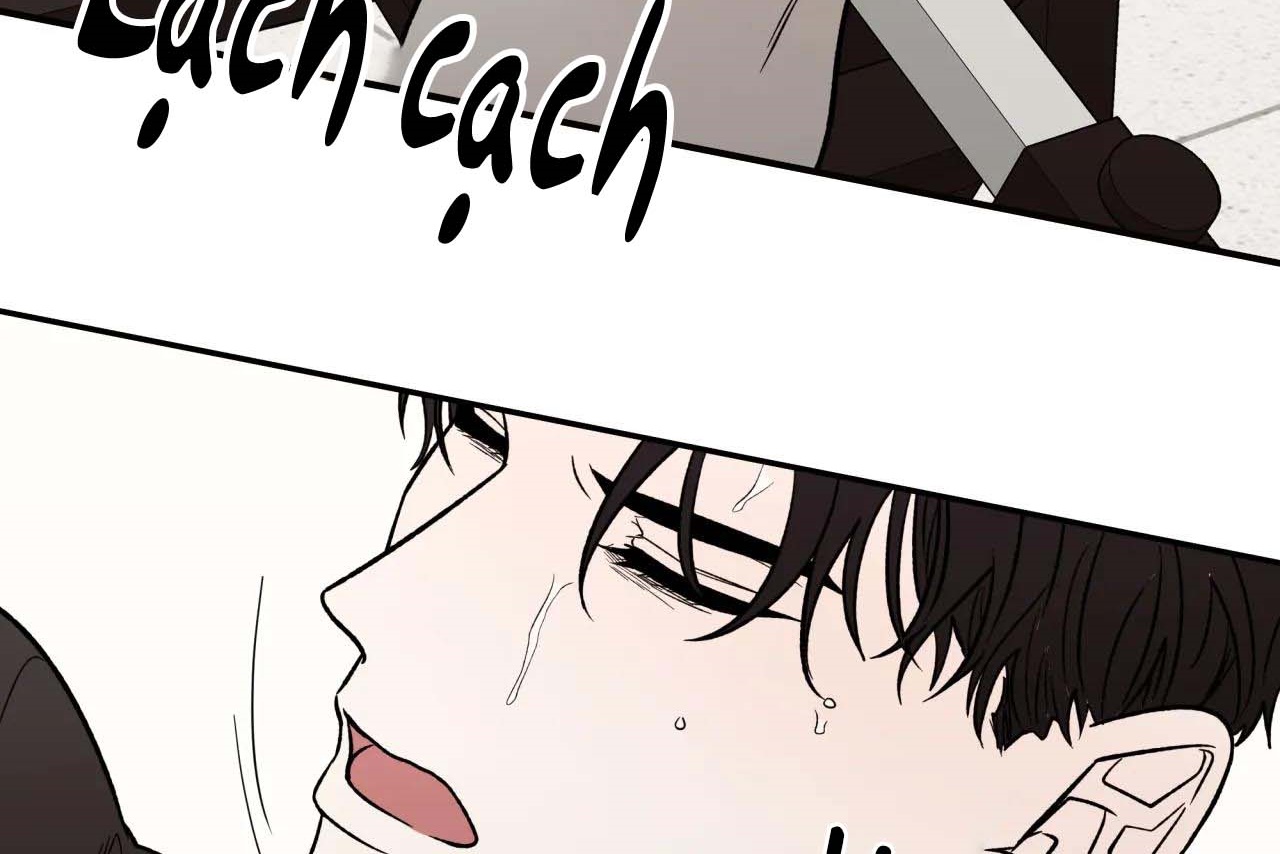 ám ảnh pheromone chapter 55 36