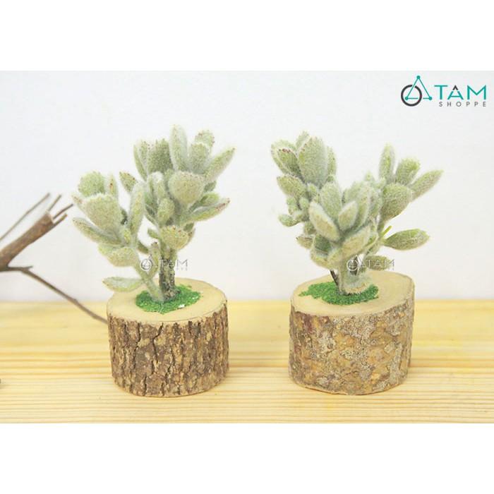 Chậu sen đá giả để bàn chậu gốc cây số 90