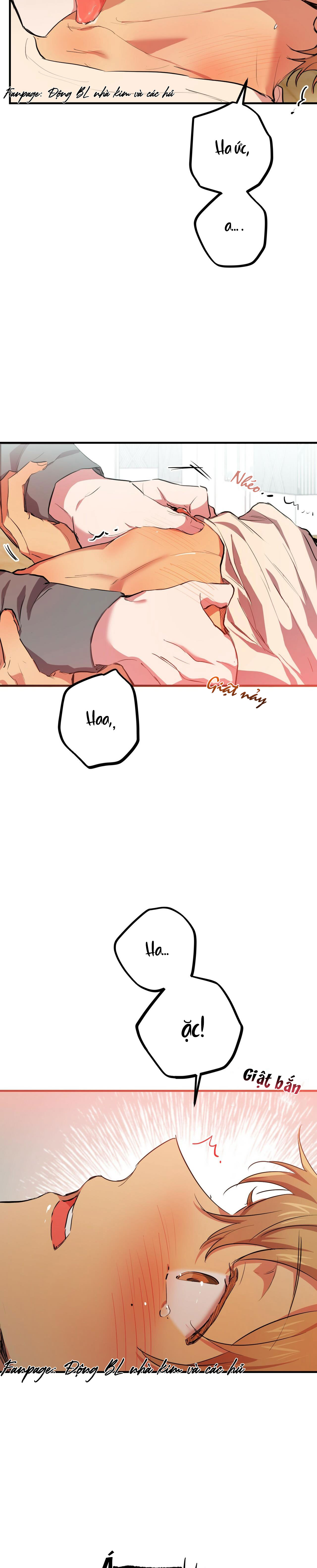 những chú thỏ của hapypy chapter 28 37