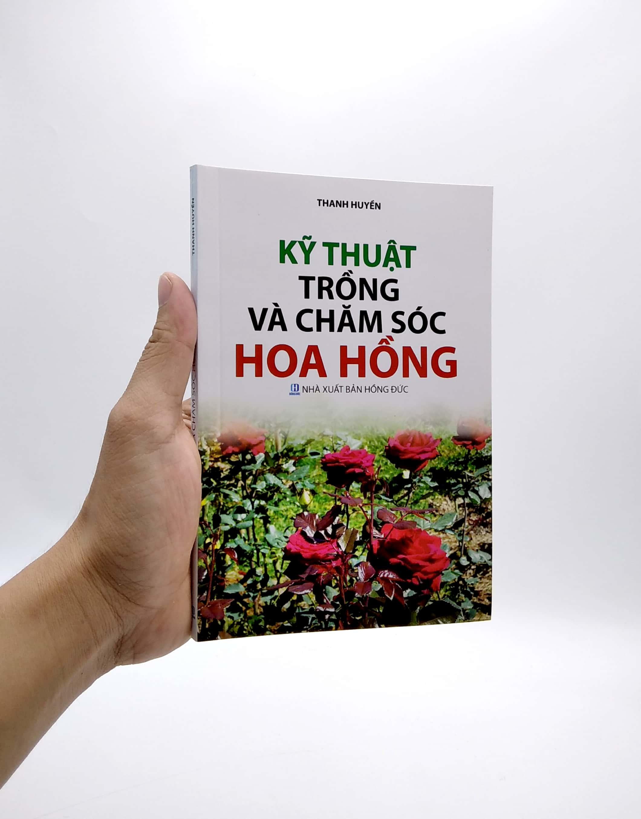 Kỹ Thuật Trồng Và Chăm Sóc Hoa Hồng