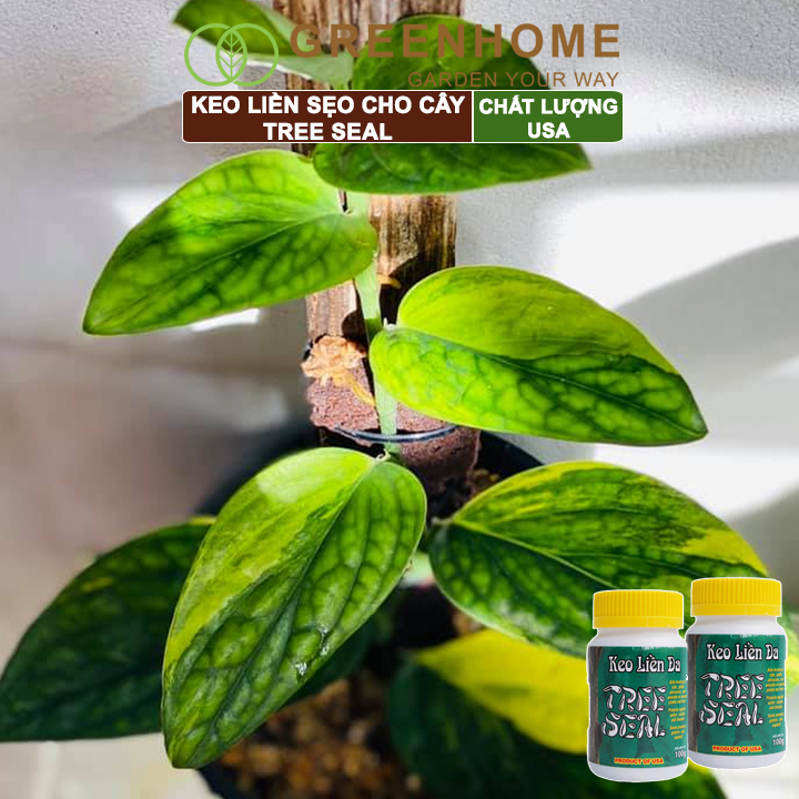 Keo liền sẹo cho cây Tree Seal, chai 100gr, hỗ trợ chiết cành, tạo dáng, bảo vệ vết cắt |Greenhome