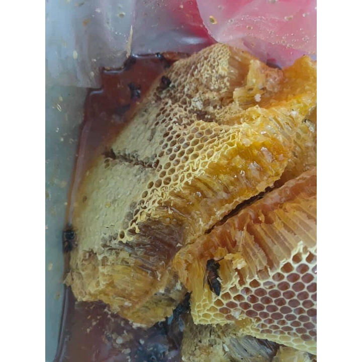 1L Mật Ong Rừng Tự Nhiên,Mật Ong Nuôi Núi Rừng