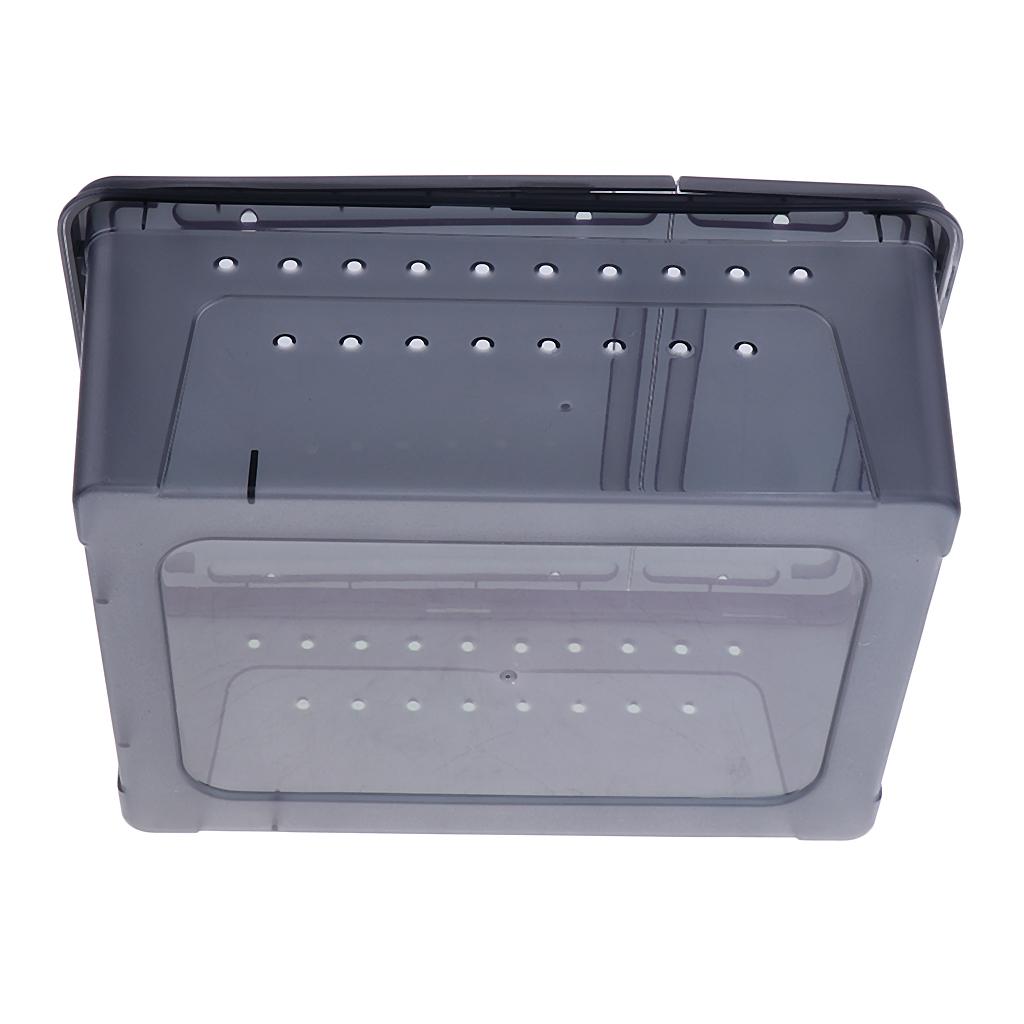 Insect Spider Snake Reptile Transport Breeding Feeding Case 25x17.5x11cm