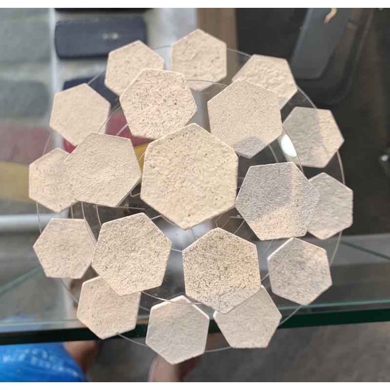 Kệ cắm đế frag san hô
