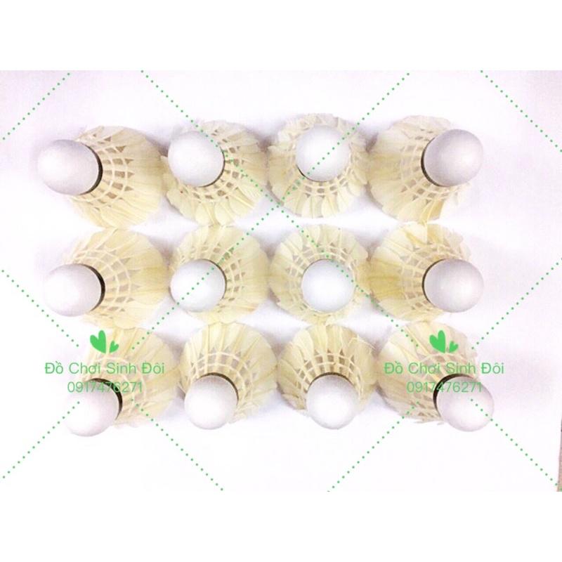 Cầu đánh hải yến - 12 trái