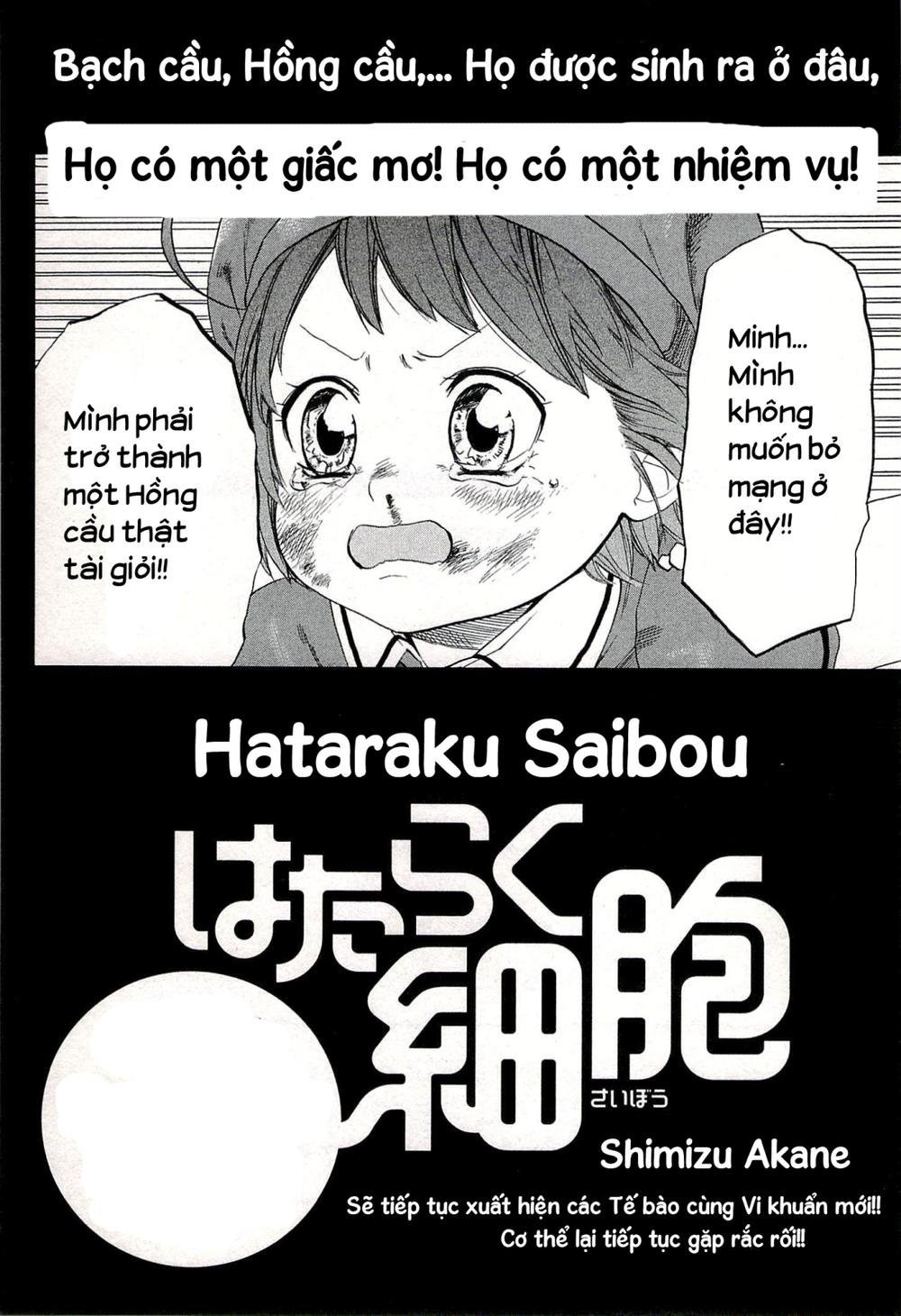 hataraku saibou! chapter 4 40