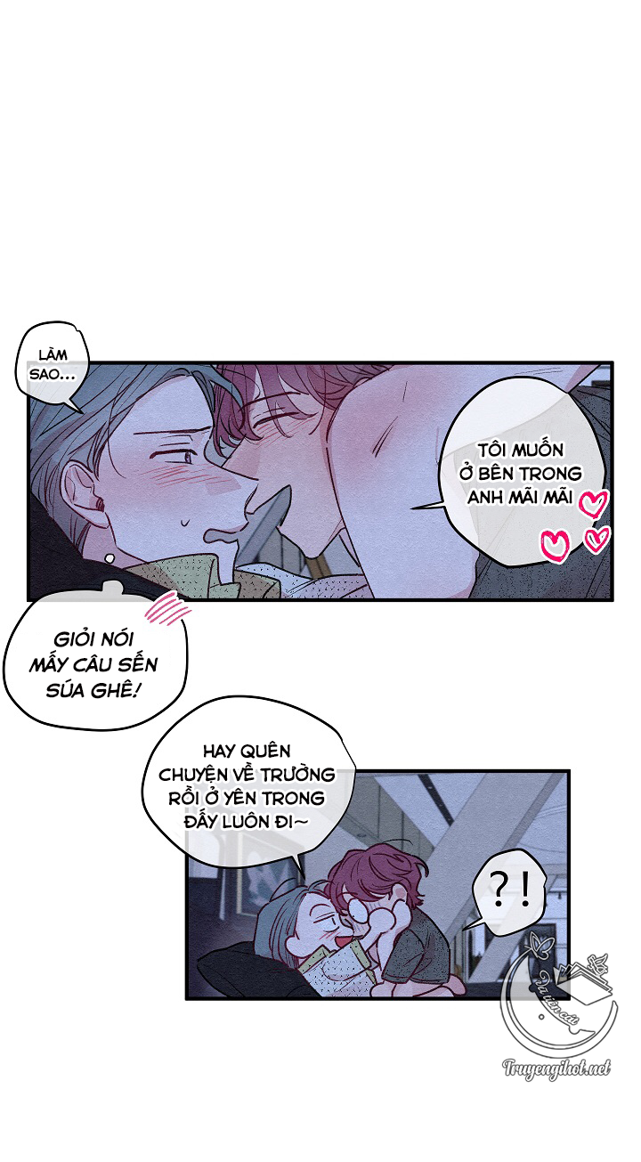 [bl19+] hoa không nở chapter 7 24