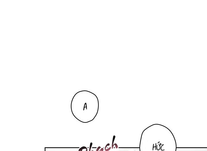 thần tượng đến rồi!? chapter 14 77