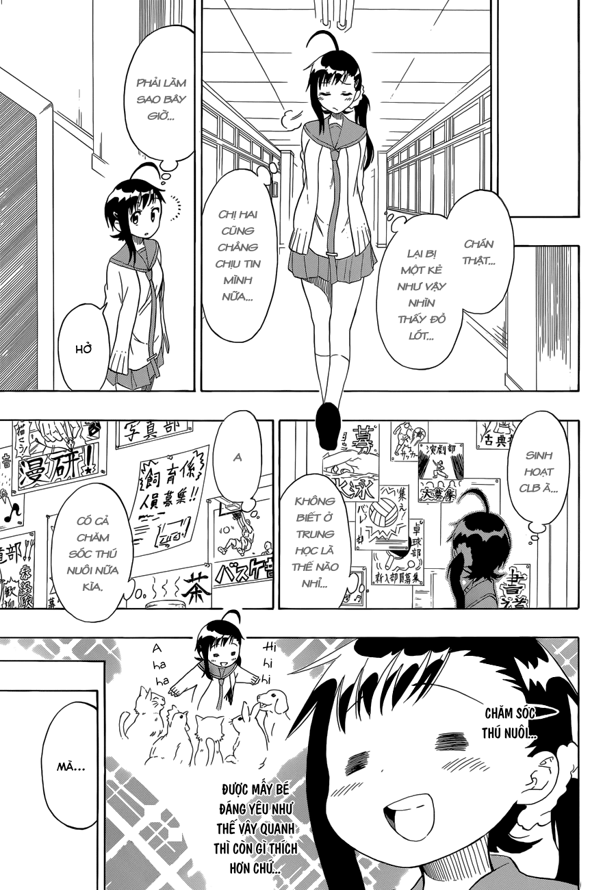 nisekoi - tình yêu giả tạo chapter 76 15