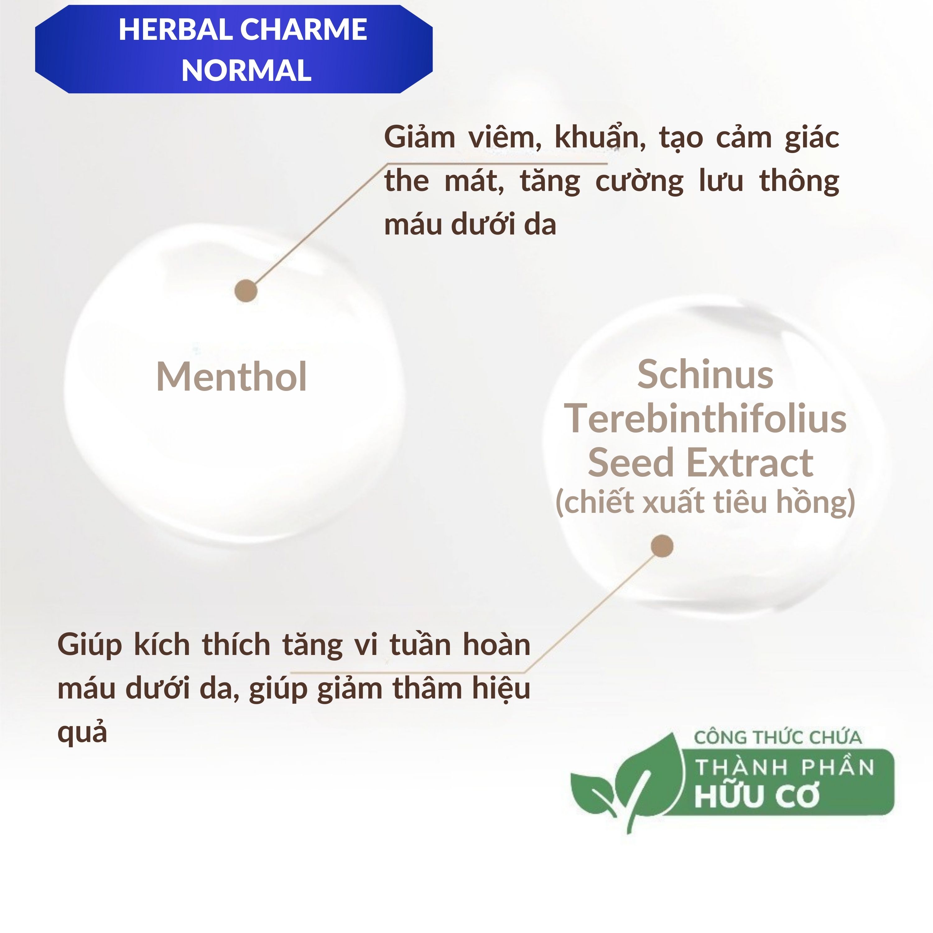 HERBAL CHARME (NORMAL) Dung Dịch Vệ Sinh Nam Giới Khử Mùi Công Nghệ Mới, Giúp Tạo Bọt Làm Sạch Sâu, Ngăn Ngừa Nấm Ngứa, Hương Thơm Nam Tính Chai 100ml