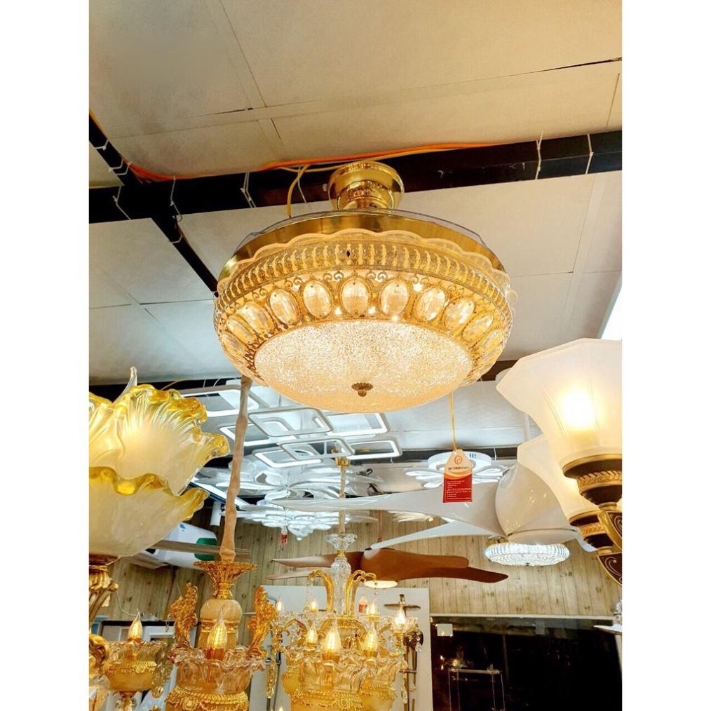 Trang trí LED MONKY cánh cụp xòe 3 chế độ ánh sáng