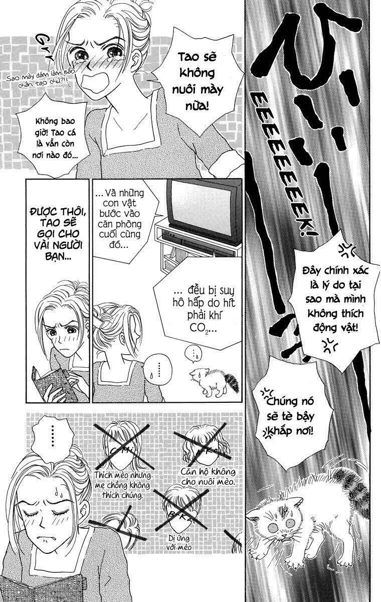 cuộc sống thường nhật của mèo zaccho chapter 1.5 13