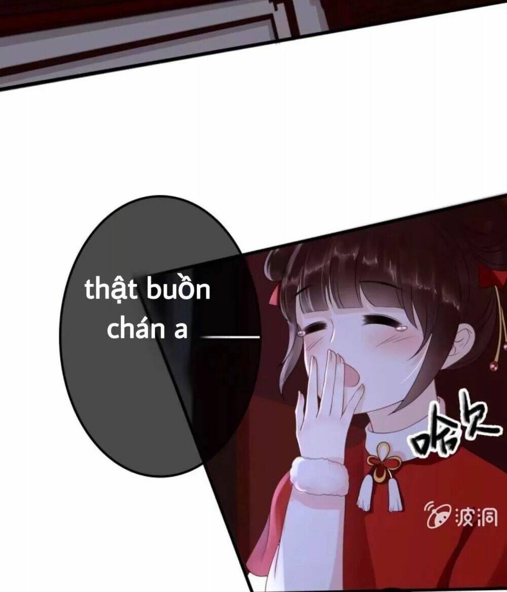 sủng phi của vương chapter 61 15