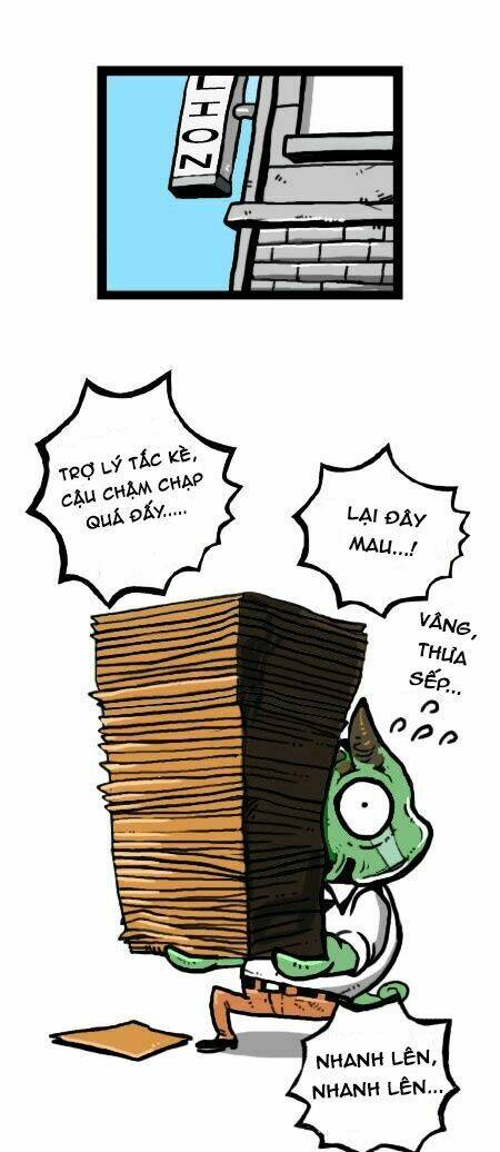 earth, human, and animal chapter 19 20