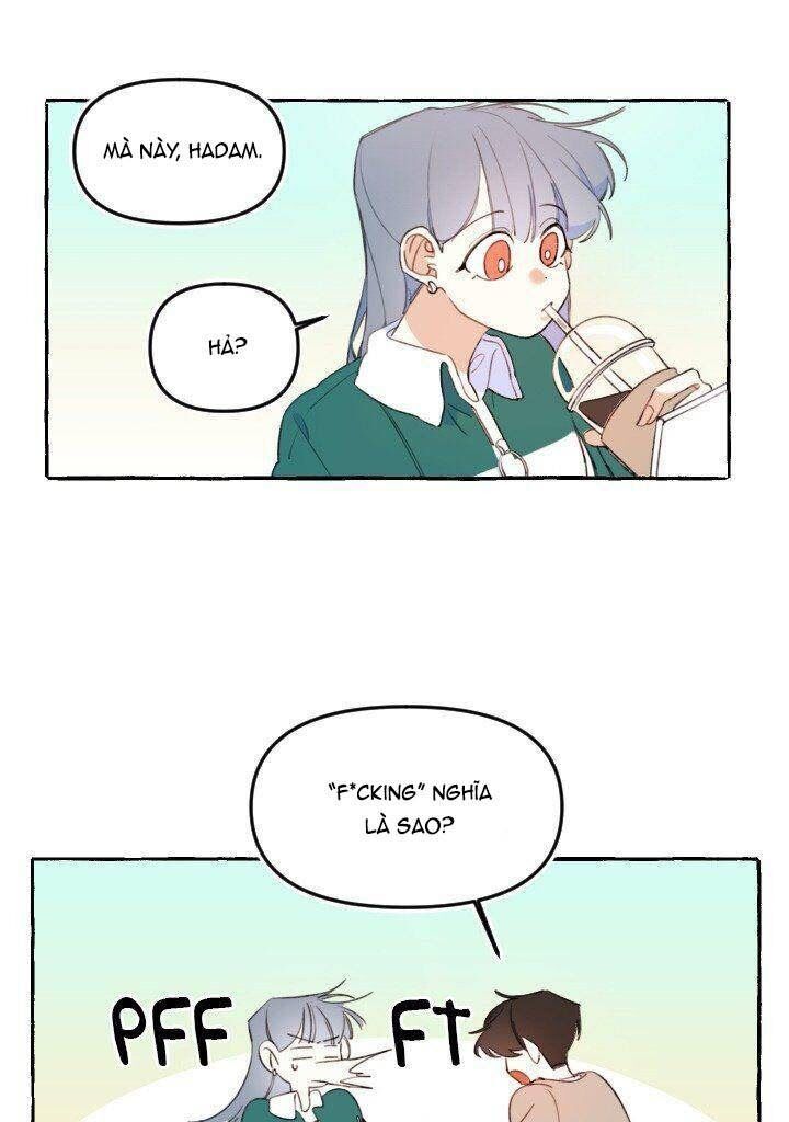 lời yêu thì cần app để dịch không? chapter 8 10