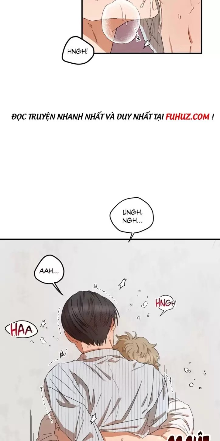 liveta chapter 25 24